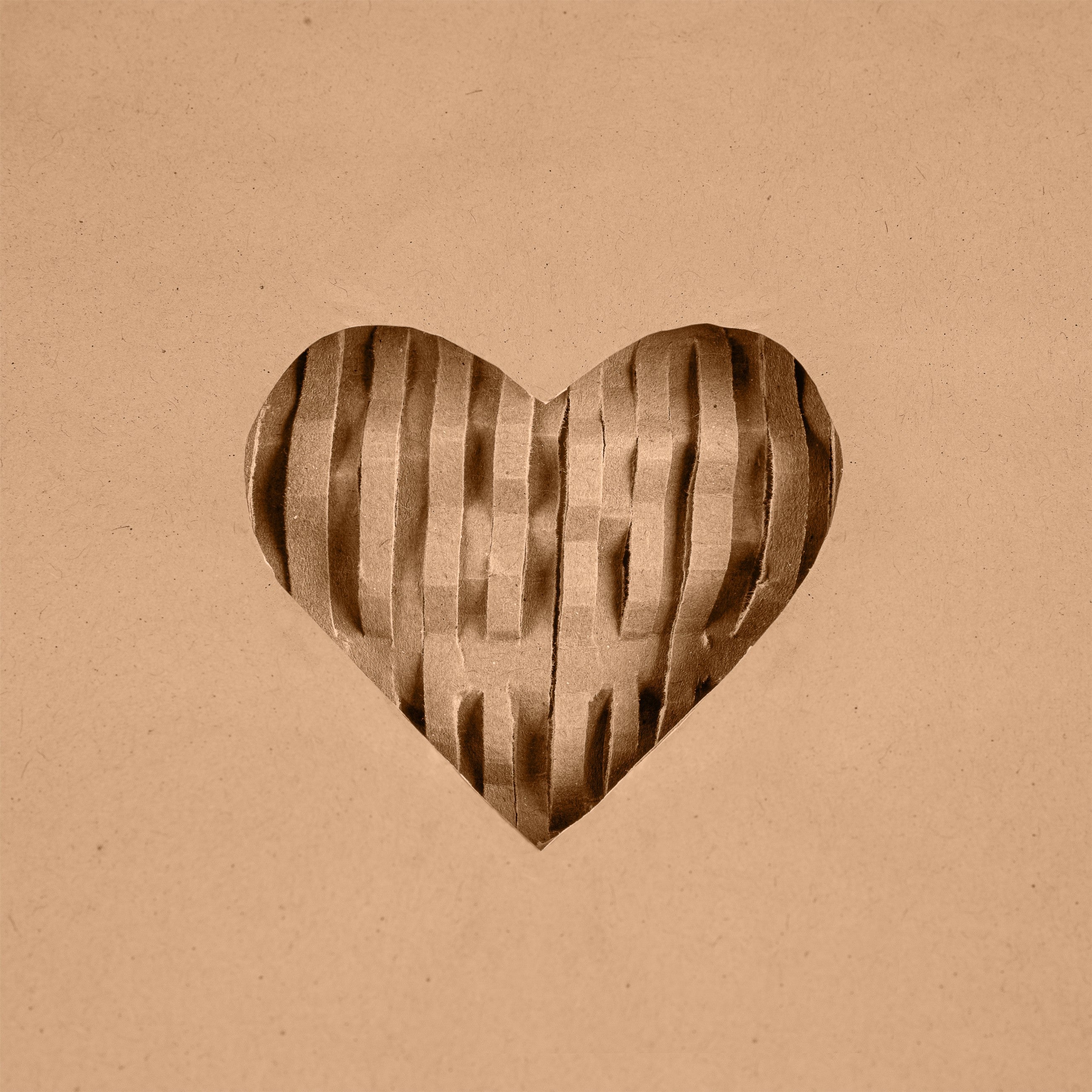 Greenvelopes Eco-Friendly Biodegradable Envelopes