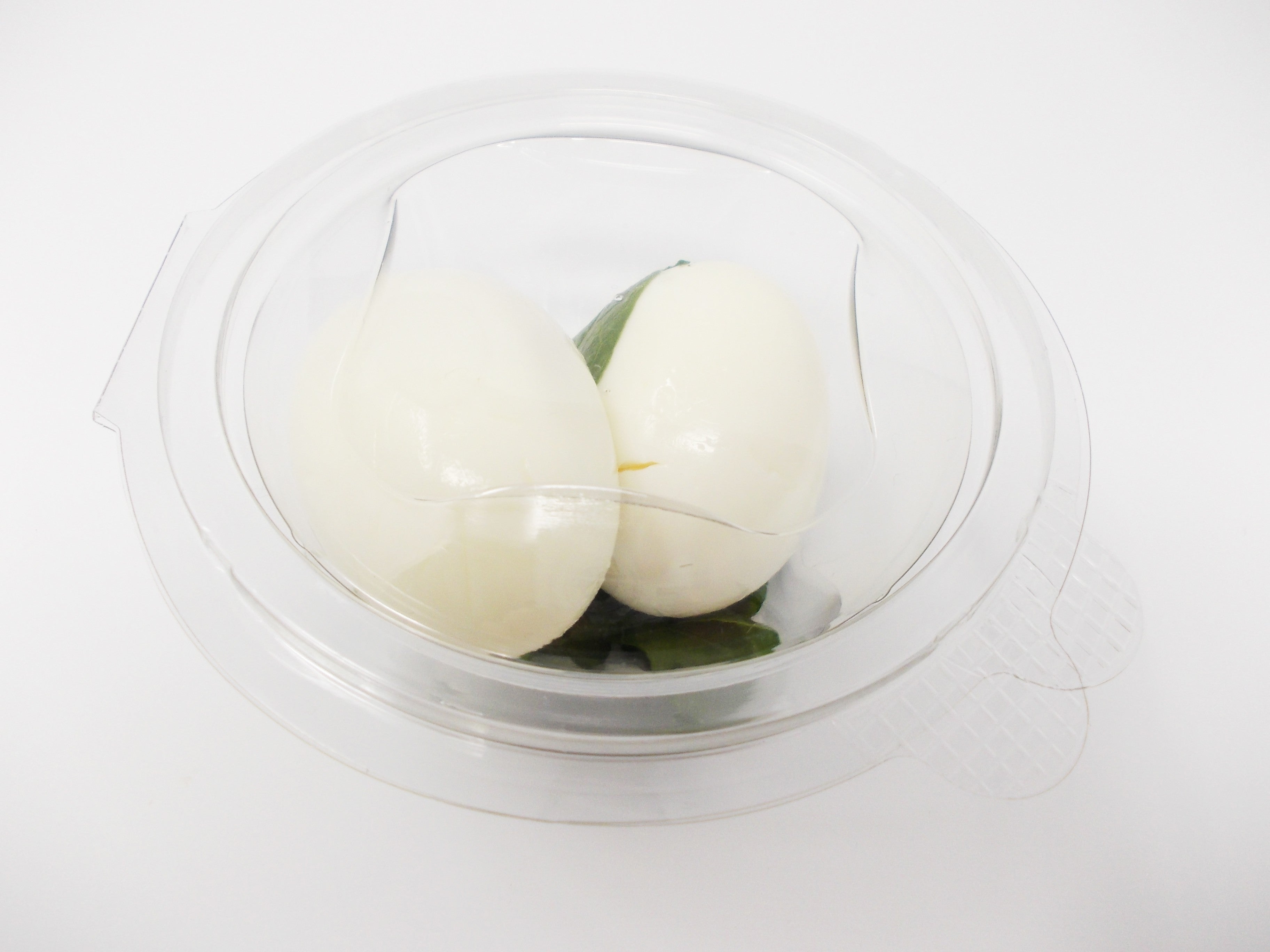 Food Grade Salad Container Takeaway Lunchbox Pasta Cold Food