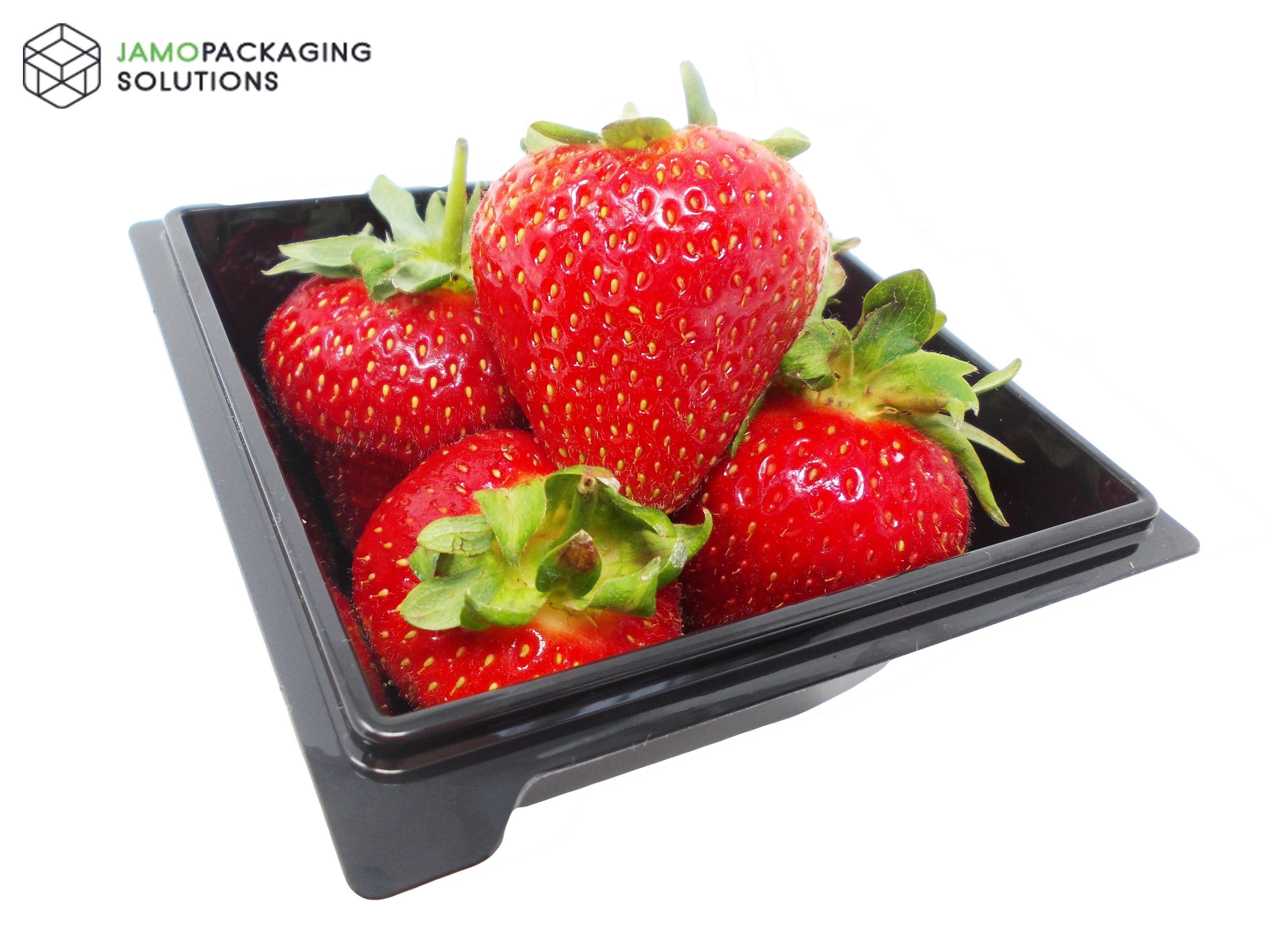 Square Black Transparent Salad Food Meal Container Box Bowl Disposable