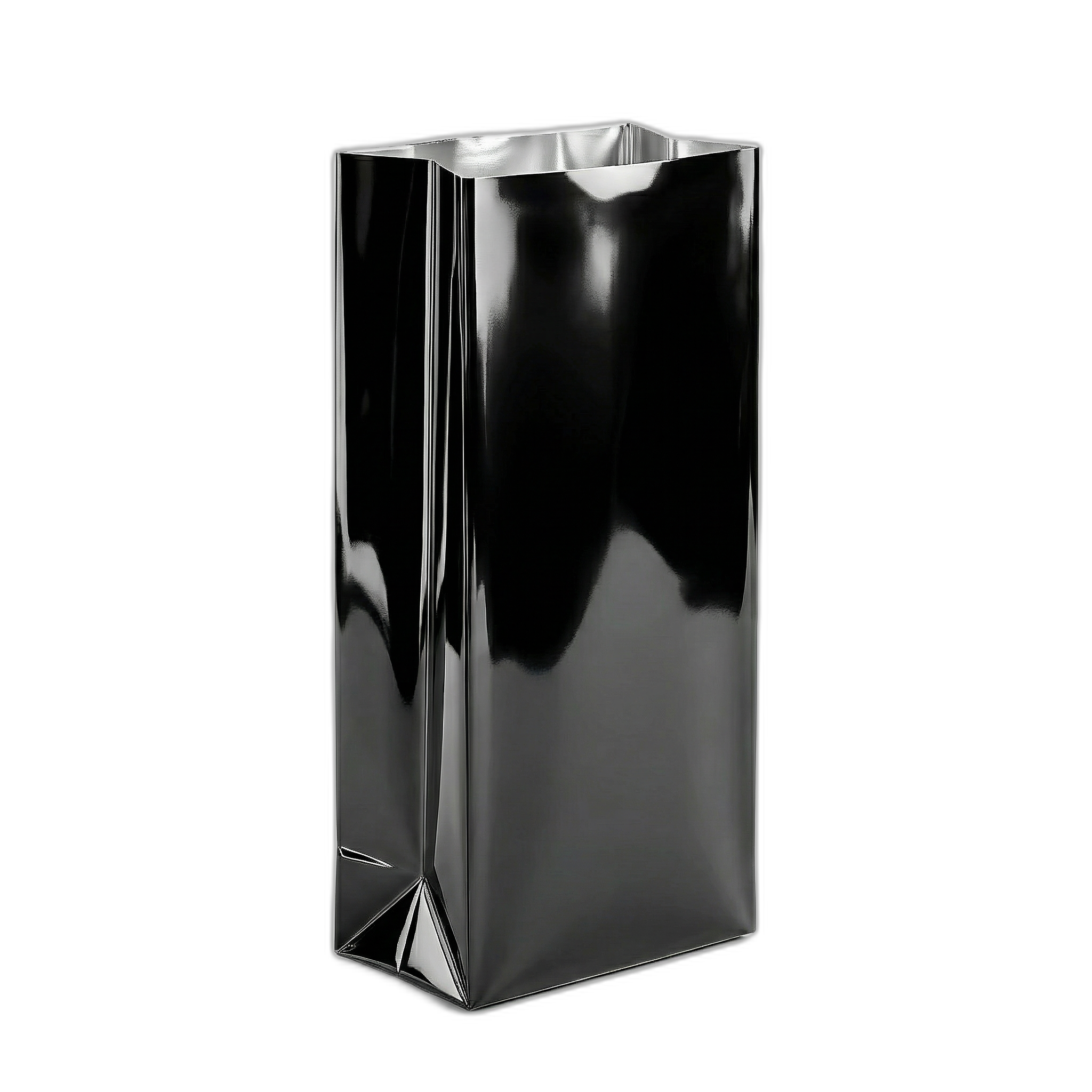 Black Shine Side Gusset Pouch